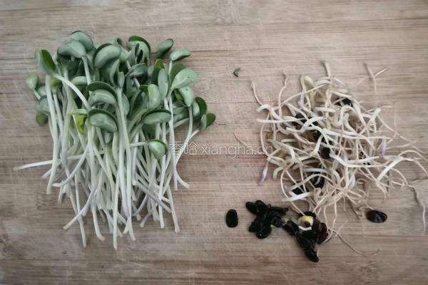 黑豆芽豆腐汤的做法图解2