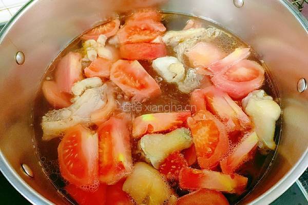 西红柿鸡汤的做法图解9