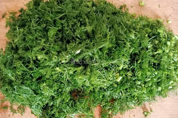 茴香肉馅生煎包的做法图解5