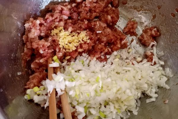茴香肉馅生煎包的做法图解7