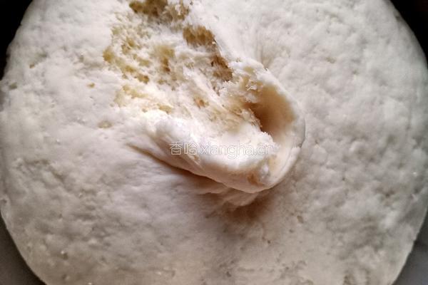 卷心菜素馅包子的做法图解15
