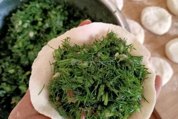 茴香肉馅生煎包的做法图解12