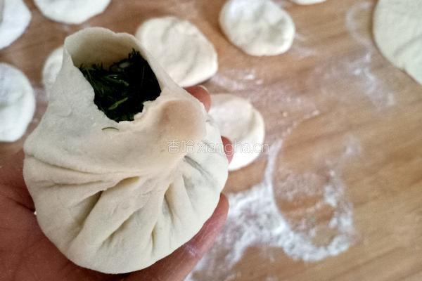 茴香肉馅生煎包的做法图解13