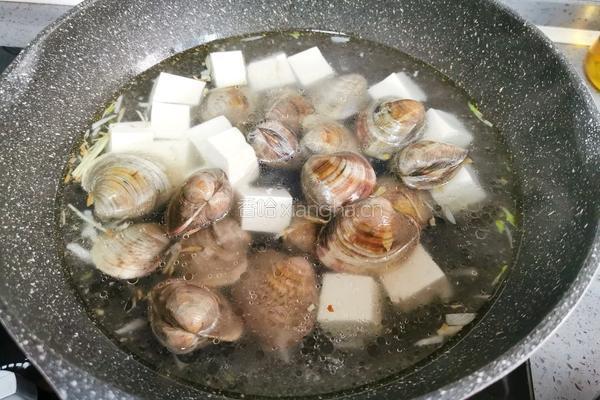蛤蜊豆腐汤的做法图解7