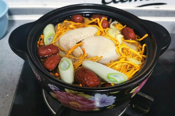 虫草花炖鸡汤的做法图解7