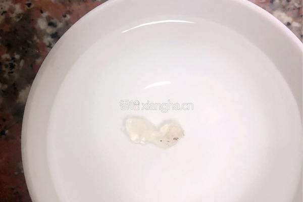 花胶雪燕炖海底椰的做法图解3