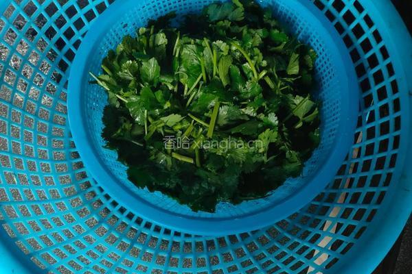 凉拌香菜的做法图解1