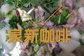 药膳羊杂汤