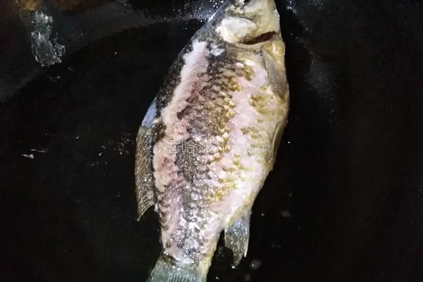 药膳羊杂汤的做法图解2