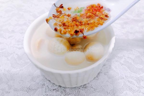 桂花椰奶莲子汤的做法图解11