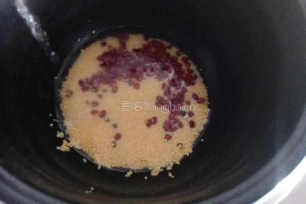 红豆小米粥的做法图解5