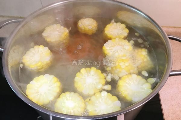 胡萝卜马蹄玉米炖排骨的做法图解8