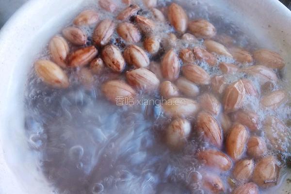 玉米莲藕花生筒骨汤的做法图解8