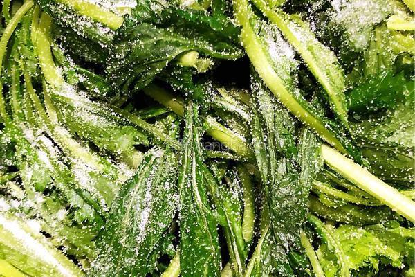 腌雪里蕻的做法图解4