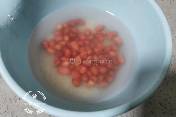 牛奶花生露的做法图解3