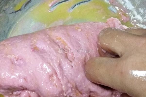 火龙果面包（不用揉出手膜）的做法图解10