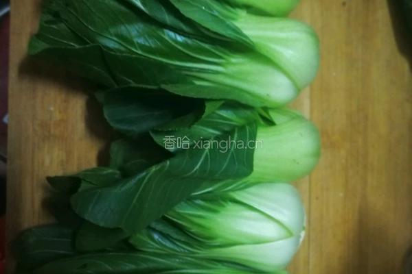 油菜开花的做法图解1
