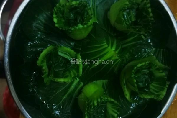油菜开花的做法图解5