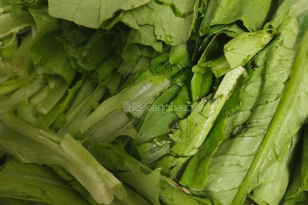 蒜蓉豆豉油麦菜的做法图解4