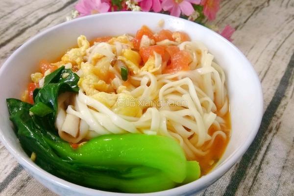 番茄鸡蛋面的做法图解8