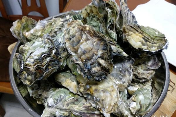 清蒸海蛎子（含调汁）的做法图解3