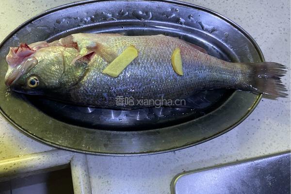 （粤式）清蒸鲈鱼的做法图解1