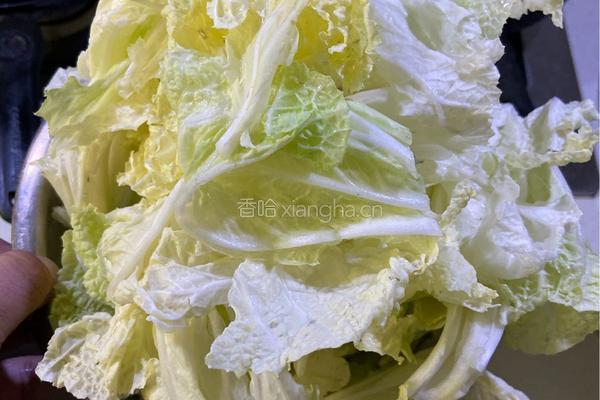 奶汤白菜的做法图解1