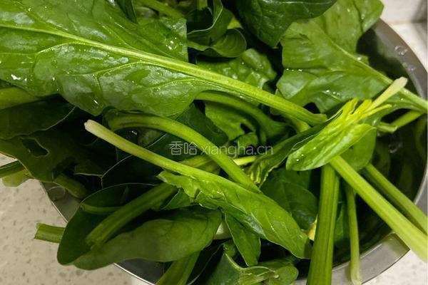 菠菜鸡蛋粉丝汤的做法图解1