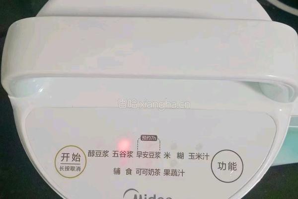 板栗双豆浆的做法图解10
