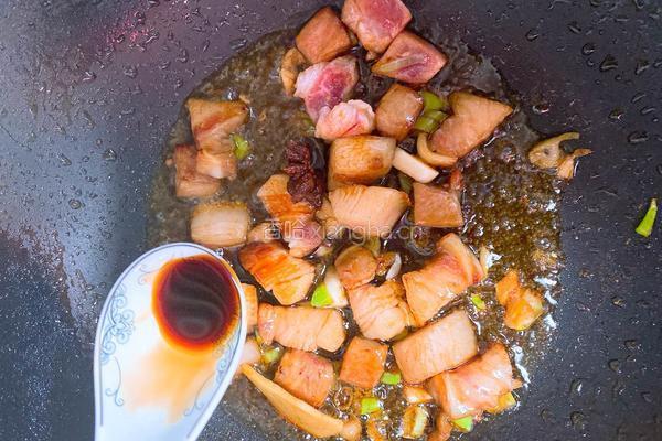 红烧肉的做法图解6