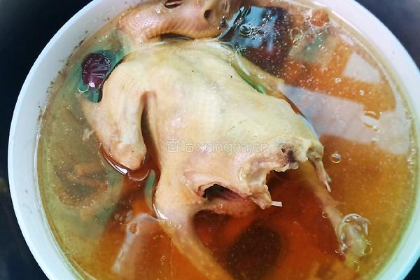 清蒸鸽子汤的做法图解5