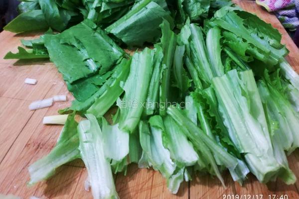 豆豉鲮鱼油麦菜的做法图解1