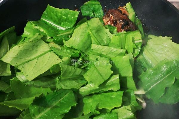 豆豉鲮鱼油麦菜的做法图解4