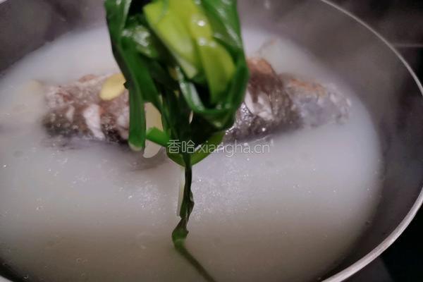 萝卜丝鲫鱼汤的做法图解8