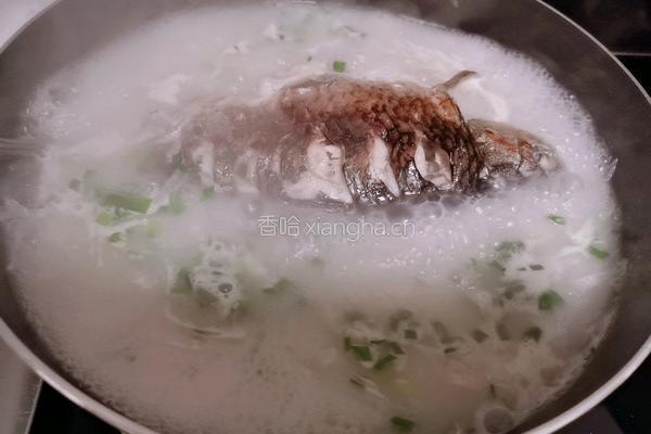 萝卜丝鲫鱼汤的做法图解11
