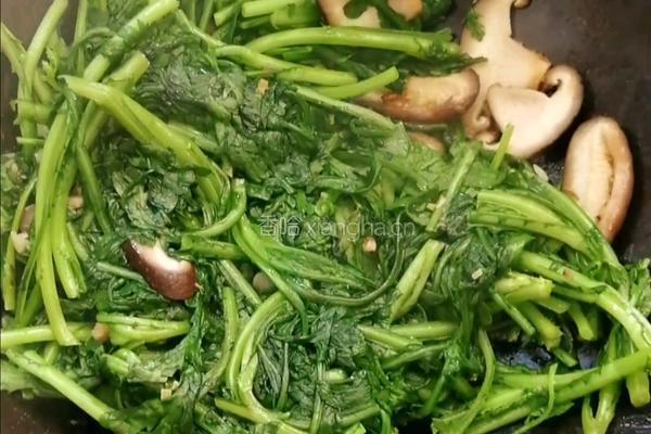 蒜蓉香菇炒茼蒿的做法图解8