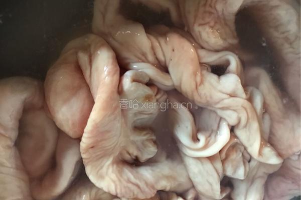 卤猪大肠的做法图解2