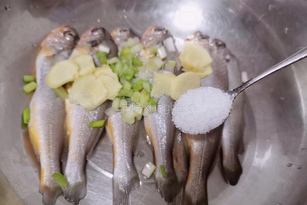 香煎小黄鱼的做法图解4