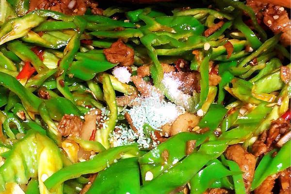 农家小炒肉的做法图解5
