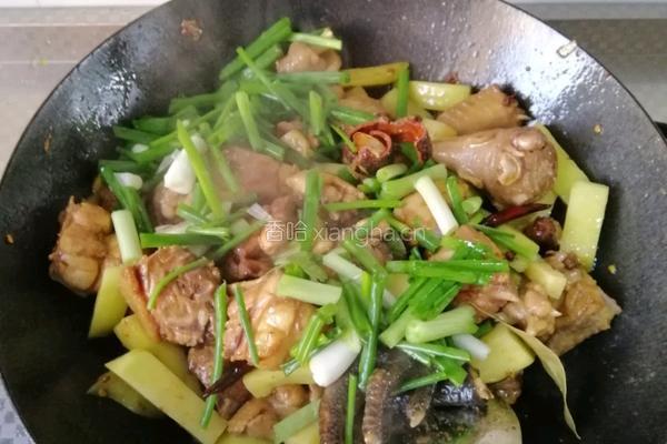 黄焖鸡的做法图解9