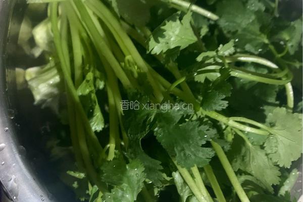 鲜虾粥的做法图解3