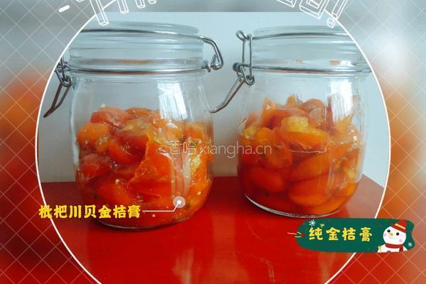 金桔膏（枇杷川贝金桔膏