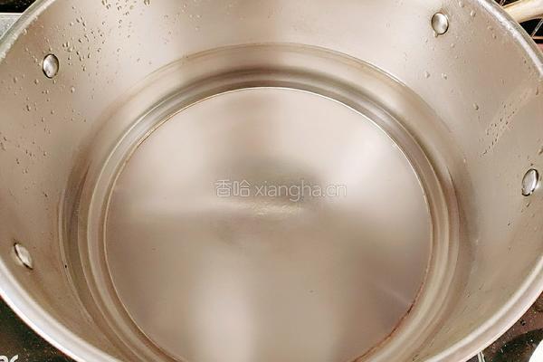 白萝卜豆腐羊肉汤的做法图解6