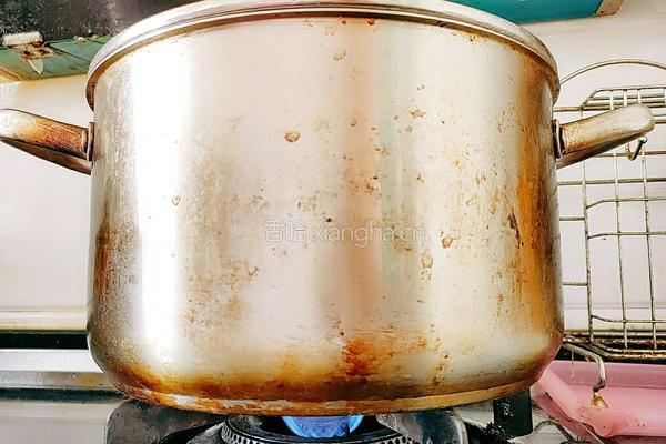 白萝卜豆腐羊肉汤的做法图解8