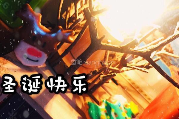 圣诞饼干
