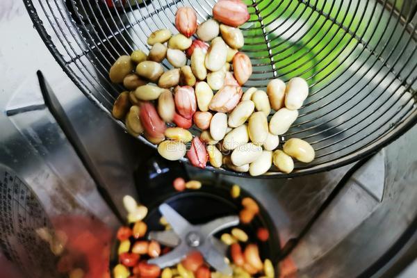 红枣花生豆浆的做法图解5