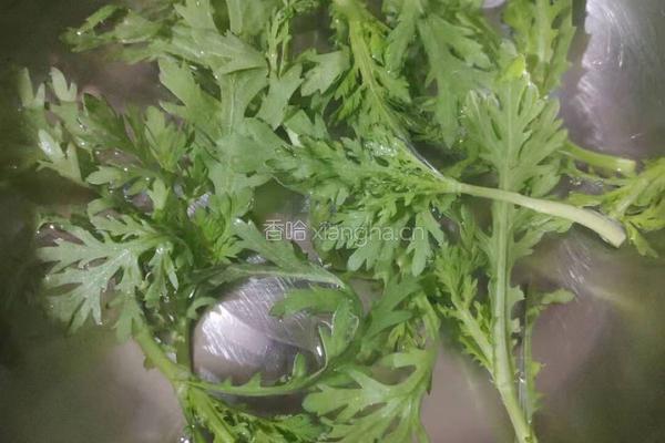 青菜瘦肉粥的做法图解3
