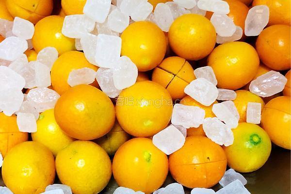 金桔冰糖蜜的做法图解5