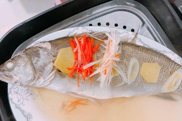 清蒸鲈鱼的做法图解8