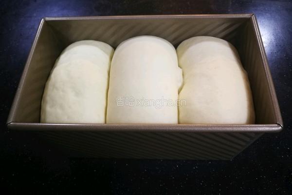 醇熟牛奶吐司的做法图解23